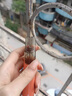 江小植薄荷鴨嘴獸口氣清新口噴劑開車提神醒腦陶瓷芯醒神口噴非江小植 百香果-鴨嘴陶瓷芯09 曬單實拍圖