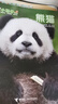 小聰仔科普版雜志2025年1-12月【全年/半年訂閱/2024/2023年1-12月/幼兒版啟蒙版可選】0-4-8歲嬰兒幼兒興趣智力培養(yǎng)兒童科普畫報(bào)非過刊K 【全年訂閱送禮品】科普版25年1-12月 曬單實(shí)拍圖