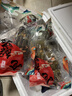 紅膏嗆蟹醉蟹梭子蟹咸蟹熗蟹醬蟹糊生腌螃蟹寧波特產(chǎn)舟山飛蟹海鮮 【兩只】6-8兩/只 曬單實(shí)拍圖