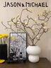 玉蘭花水培水養綠植花卉遇水開(kāi)花樹(shù)苗盆栽帶花苞干枝耐寒鮮切白紫 【閉眼入】精選鮮切紫玉蘭80-100cm3枝+送 裸根不帶土 曬單實(shí)拍圖