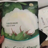 全棉時代AirCotton成人拉拉褲XL9片（臀圍≥110cm）內(nèi)褲型紙尿褲尿不濕 曬單實拍圖