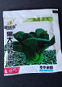 上海青小青菜四季油菜種子籽種蔬菜種籽孑冬天大全矮腳黑葉蘇州青 A原種上海青種子1包 曬單實(shí)拍圖