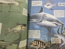 【新華書店正版】人教版初中8八年級上冊生物書人教版課本教材教科書人民教育出版社8年級上學期初二2上冊生物課本人八上生物學八年級上冊生物課本 八年級上冊生物 曬單實拍圖