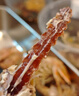 混元獸皮皮蝦肉鮮活熟凍500g冷凍蝦大號爬子肉 瀨尿蝦爬爬蝦富貴蝦海鮮 大號 皮皮蝦 500g(凈重)  10-12cm 500g 曬單實拍圖