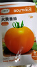 大黃柿子種籽黃色西紅柿種孑黃貴妃番茄種子東北大果春季蔬菜籽種 大黃番茄種子/包約200粒 5包 曬單實拍圖