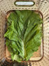 林中山【順豐發(fā)貨】新鮮大白菜葉東北農家蔬菜包飯包葉子蘸醬菜現摘現發(fā) 白菜葉10片+醬（順豐） 曬單實(shí)拍圖