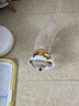 塔帕英 伊麗莎白圈貓咪寵物頭套防舔脖圈防咬絕育狗狗軟恥辱圈布偶高檔 大桔大利 M【頸圍21-27】 曬單實拍圖