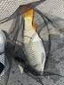 阿盧H20大物漂流氓漂納米加粗尾醒目近視浮漂鯉魚(yú)草魚(yú)漂青魚(yú)鰱鳙浮標 LPH20（17目大紅大綠） 4號(吃鉛約6.83克) 曬單實(shí)拍圖
