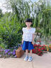 小豬彼特女童學(xué)院風(fēng)套裝夏季2025新款兒童短袖短裙洋氣夏裝大童女孩連衣裙 6017藍(lán)色牛仔裙 140 cm 曬單實(shí)拍圖