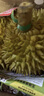 金尼堯紅肉榴蓮D101馬來(lái)西亞液氮冷凍水果 3.0-3.5斤【90%用戶(hù)選擇 包4房】 曬單實(shí)拍圖