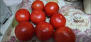 米特樂(lè )芙有機西紅柿番茄自然熟有機認證無(wú)激素無(wú)農殘沙拉食材匯基地發(fā)精品 有機西紅柿 300g 曬單實(shí)拍圖