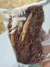 花支蕊百支草  室內盆栽人參苗 苗庭院種植洋人參種子種苗 曬單實(shí)拍圖