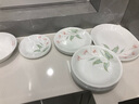 CORELLE康寧餐具美國進(jìn)口環(huán)彩青春高顏值輕奢餐具家用湯飯碗盤(pán)餐具套裝 【高端禮盒】環(huán)彩青春 8件套 曬單實(shí)拍圖