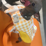 嬉皮狗（hipidog）狗狗救生衣寵物玩水衣服泰迪比熊柴犬中小型幼犬夏天游泳專用衣服 黃色 XS （建議體重1-3斤） 曬單實(shí)拍圖