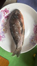 微山湖野生鯽魚土漁民捕撈活魚現(xiàn)殺凈膛滋補(bǔ)燉湯400g/袋 大號(hào)【2-3條/400g】400g*5袋 曬單實(shí)拍圖