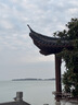 THOM WILLS經(jīng)典板鞋男百搭休閑厚底增高潮鞋透氣商務(wù)真皮高端休閑鞋男純牛皮 深藍色G868 40 /7碼 曬單實拍圖