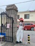 DGOV美式復(fù)古高腰直筒顯瘦休閑褲女褲子夏季女小個子薄款條紋闊腿褲女 白色（zt） L 推薦105-125斤 曬單實拍圖