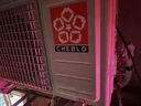 CHEBLO櫻花蝶空調(diào) 大1.5匹 新一級能效 省電變頻冷暖空調(diào)  臥室出租屋壁掛式空調(diào)掛機(jī) 1.5匹 套裝 單冷【全銅管】+不銹鋼支架 提供安裝服務(wù)（10年質(zhì)保） 曬單實(shí)拍圖