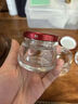 GIOIO燕窩分裝瓶子家用迷你小玻璃瓶可蒸煮花膠奶凍空密封罐食品級帶蓋 大肚瓶【6個(gè)裝】 50ml 曬單實(shí)拍圖