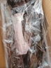 春舟BS-2400寵物單馬達吹水機狗狗吹風(fēng)機2200W功率 可愛(ài)嘟嘟粉 曬單實(shí)拍圖