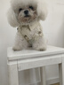 嬉皮狗（hipidog）春夏狗狗衣服口袋襯衫透氣兩腳衣中小型幼犬比熊泰迪夏天狗狗衣服 彌雅白 S（建議體重3-5斤） 曬單實拍圖
