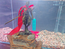 BESSN貝森魚(yú)缸加熱棒自動(dòng)恒溫陶瓷防漏電淡海水通用小魚(yú)缸加溫器300W 曬單實(shí)拍圖