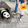 戴維貝拉春秋裝女童毛衣開衫兒童針織衫寶寶上衣小女孩外套 曬單實拍圖