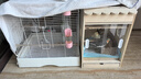 寵麗安鸚鵡保溫箱自動(dòng)恒溫寵物繁殖箱育雛飼養箱天窗立式抽屜款鳥(niǎo)籠籠子 30*30*50-天窗立式尊享控溫套餐 曬單實(shí)拍圖