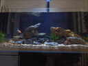 魚(yú)出色全光譜魚(yú)缸燈防水草缸吊燈水族箱植物生長(cháng)尼特爆藻利鋁合金筒燈 增艷智能調光版銀色30W+支架 曬單實(shí)拍圖