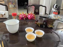 千絲家 變色茶寵金魚擺件招財鴻運(yùn)當(dāng)頭錦鯉可養(yǎng)茶玩茶道茶臺茶具擺設(shè) 鴻運(yùn)當(dāng)頭(金鯉魚) 曬單實拍圖