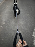 柒哦背心式狗狗牽引繩防爆沖小型犬胸背帶比熊博美遛狗繩寵物狗鏈子 黑色【防掙脫胸背+1.6米反光繩】 L【建議體重30-40斤】 曬單實拍圖