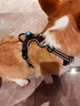 TRUELOVE狗狗牽引繩狗鏈子牽引帶遛狗防掙脫背心式小中大型犬防爆沖胸背帶 棕色 M-胸圍56-69cm建議7-18kg選擇 曬單實(shí)拍圖