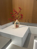 檀花美時來運(yùn)轉(zhuǎn)花瓶發(fā)財如意果家居擺件客廳玄關(guān)電視柜招財裝飾喬遷禮物 石來運(yùn)轉(zhuǎn)花瓶-款式1+如意紅果 曬單實拍圖