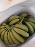 廣東高州新鮮香蕉3-9斤自然熟水果原生態(tài)小香蕉生蕉發(fā)貨自行催熟 9.3斤小香蕉約38-55根 曬單實(shí)拍圖