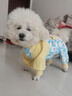 嬉皮狗（hipidog）狗狗防塵褲小型犬四腳衣服防水比熊泰迪遛狗神器戶(hù)外防尿防臟腿套 邦迪藍 XL 曬單實(shí)拍圖