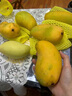 海南金煌芒果10斤生鮮水果當(dāng)季現(xiàn)摘熱帶新鮮水仙大芒果甜心芒果 精選1斤裝 小果【試吃】青皮黃皮隨機(jī)發(fā) 曬單實(shí)拍圖