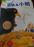 紐伯瑞兒童文學(xué)國際大獎小說(shuō)（全10冊）4冊金獎6冊銀獎原版插圖二三四五年級課外閱讀童書(shū) 課外閱讀 閱讀 課外書(shū)   曬單實(shí)拍圖