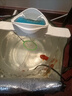 瘋狂水草圓形魚缸過濾器循環(huán)水泵三合一超靜音小型魚缸增氧過濾一體機上置 圓缸過濾器（適合口徑30CM以內(nèi)） 曬單實拍圖