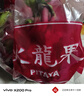 CAIFAN海南蜜寶 紅心火龍果 金都一號單果約400~500g 新鮮當季水果禮盒 曬單實(shí)拍圖