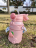 京厽兒童保溫杯食品316吸管水杯子女孩嬰幼兒園上學(xué)專用小學(xué)生水壺 粉兔 500ml 曬單實拍圖