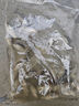 鯽魚苗淡水養(yǎng)殖食用活魚土鯽工程湘云黃金鯽大品種中科三號五號鯽冷水觀賞小魚苗批發(fā) 大鯽魚8-10厘米30條多發(fā)10%防損 曬單實拍圖