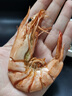 老魚匠蝦干即食烤蝦干特大九節(jié)蝦干大號(hào)特大對(duì)蝦干竹節(jié)蝦干零食順豐包郵 九節(jié)蝦干500g 曬單實(shí)拍圖