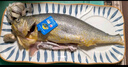 三都港三去黃花魚寧德正宗原產(chǎn)地大黃魚新鮮冷凍海鮮水產(chǎn)免殺烹飪食材魚 三去黃花魚550g*2條 曬單實(shí)拍圖