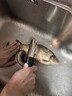 博曼斯電動(dòng)魚(yú)鱗刨刮鱗器宰殺魚(yú)專(zhuān)用無(wú)線(xiàn)刮魚(yú)鱗器家用去除魚(yú)鱗神器工具 usb無(wú)線(xiàn)電動(dòng)魚(yú)鱗刨（黑色） 曬單實(shí)拍圖
