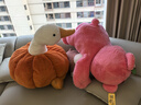 搞怪南瓜大鵝抱枕創(chuàng  )意靠墊靠枕沙發(fā)汽車(chē)床頭毛絨花朵可愛(ài)布娃娃男 南瓜鵝 100厘米 曬單實(shí)拍圖