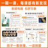 【1-26期現(xiàn)貨速發(fā)】大語文知識畫報 快樂學(xué)習(xí)報2025年春季/秋季學(xué)期訂閱1年共52期每月一發(fā)小學(xué)語文一二三四五六年級課前預(yù)習(xí)課后積累同步課本分級閱讀暑期主題閱讀素材雜志鋪天星教育出品旗艦店非過刊  曬單實拍圖