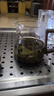 張一元茶葉 烏龍茶 一級(jí)濃香型鐵觀音250g/袋 半斤裝 福建 張一元一級(jí)鐵觀音250g袋 曬單實(shí)拍圖