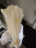罩菜飯菜塵罩蓋菜罩可折疊餐桌罩飯桌罩蒼蠅餐飯罩子大號桌罩 圓形顏色隨機(jī)【50cm】 曬單實(shí)拍圖