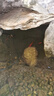 全福鯉 戶(hù)外錦鯉魚(yú)池過(guò)濾器大型水循環(huán)凈化系統304不銹鋼錦鯉池過(guò)濾設備 QL-3套餐適合0-2噸水包含水泵水管 曬單實(shí)拍圖