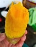 順豐可選海南現(xiàn)摘新鮮辣椒芒5斤當季熱帶孕婦水果網(wǎng)紅牙簽芒芒果M 1斤【嘗鮮裝】 曬單實拍圖